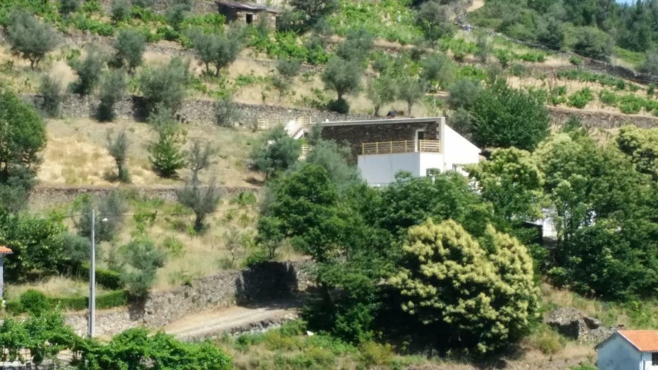 Casa das Oliveiras - Manteigas Exterior foto
